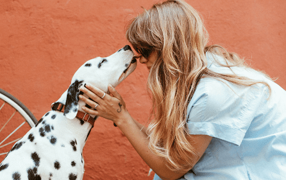 Homemade Goodness: 5 Simple DIY Pet Recipes